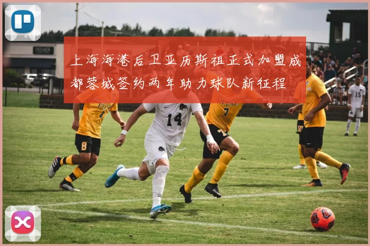 上海海港后卫亚历斯祖正式加盟成都蓉城签约两年助力球队新征程